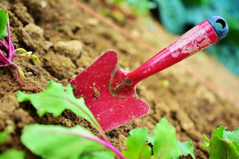 5 zasad uprawy warzyw w szklarni ogrodowej