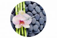 Zegar ścienny WENKO 37 cm - SPA