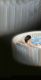 Jacuzzi  Basen dmuchany Pure Spa - Bubble HWS