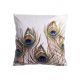 Poszewka na poduszkę z kolekcji Pióro/pawie, 45 x 45 cm