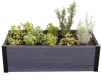 Grządka podwyższona MAPLE TROUGH - szara